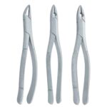 Extracting Forceps 3pcs Set - Image 2