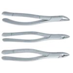 Extracting Forceps 3pcs Set - Image 3
