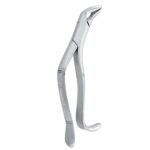 Extracting Forceps Curved 5" – German Stainless Steel - Image 3