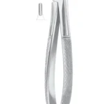 Fig. 13S lower premolars for children.