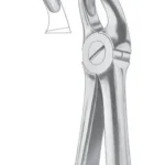 Fig. 18A upper molars