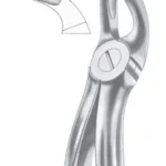 Fig. 19 upper third molars