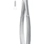 Fig. 33 lower roots