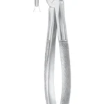 Fig. 38 lower incisors & canines for children