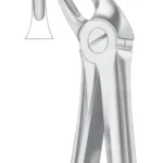 Upper Incisors & Canines